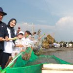 Panen Udang Vaname, Bupati Ratu Zakiyah Dorong Desa Domas jadi Kampung Nelayan Merah Putih
