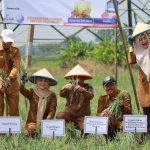 Bupati Ratu Zakiyah Launching Program Ratu Tani Wujudkan Swasembada Pangan