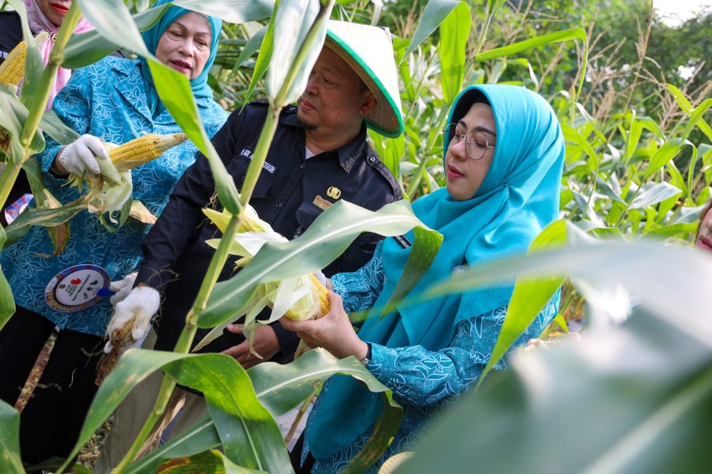 TP PKK Banten dorong swasembada pangan keluarga