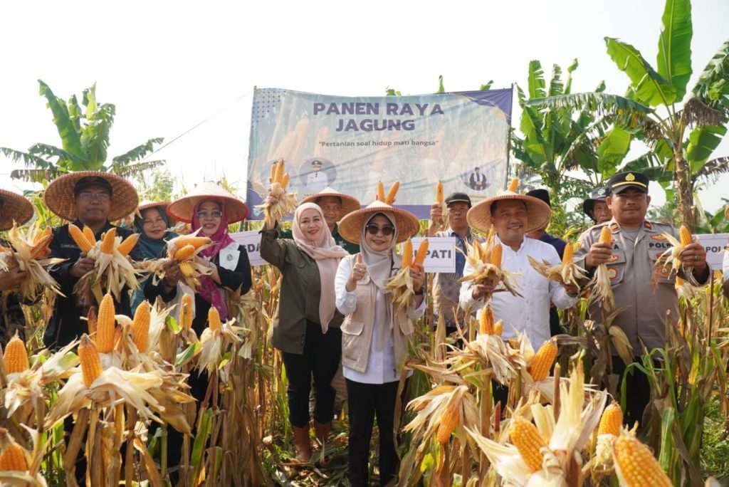 Bupati Pandeglang panen raya jagung bersama petani
