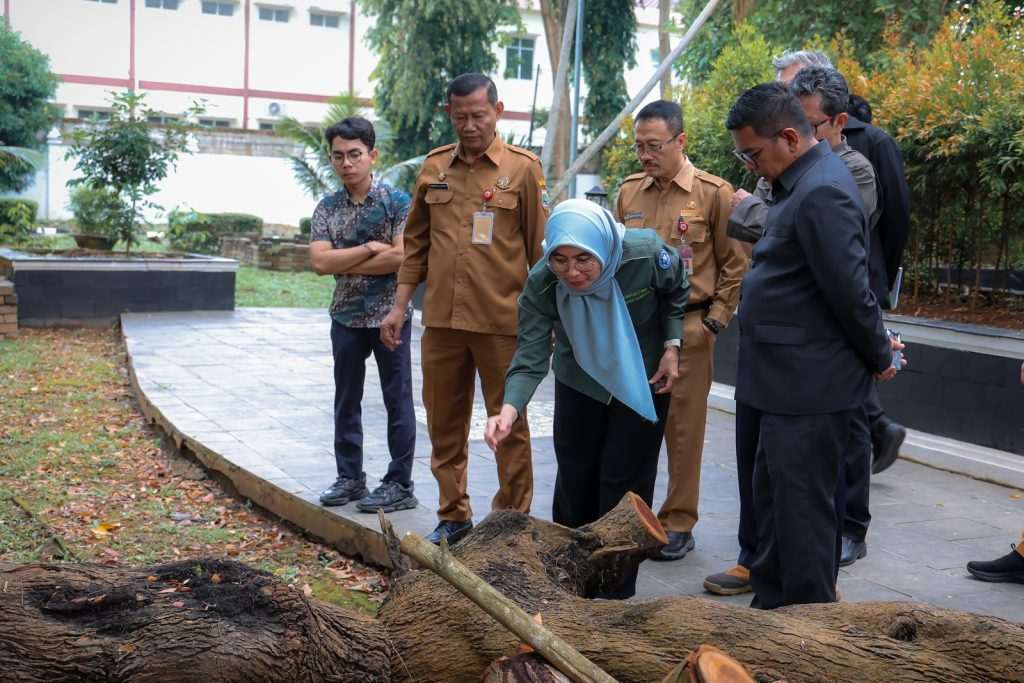 Gubernur Banten Andra Soni menyimak pendapat Tim IPB tentang pohon tua di Gedung Negara Provinsi Banten