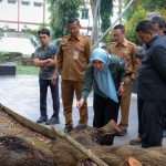 Libatkan Tim IPB, Gubernur Banten Nyatakan Pohon Tua Perlu Diperiksa Dan Diselamatkan