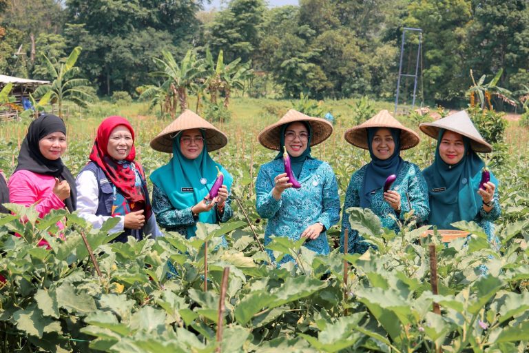 Tinawati Andra Soni Ajak Kader PKK Perkuat Gotong Royong