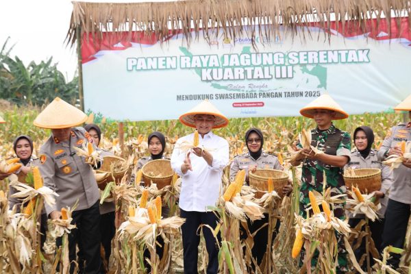 Banten Panen Raya Jagung, Wagub Ahmad Dimyati: Momentum Peningkatan Kesejahteraan Petani