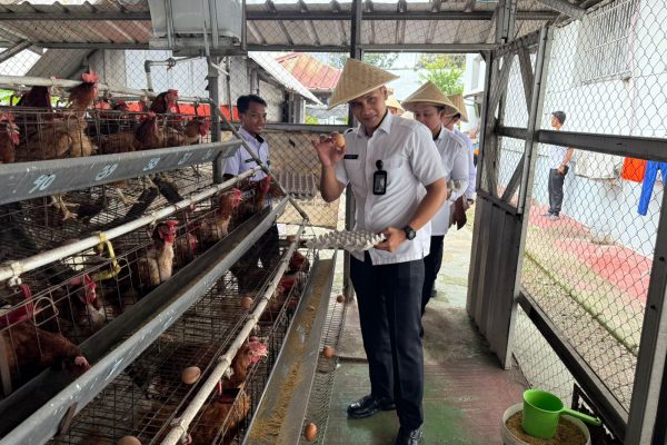 Panen Kangkung dan Ayam Petelur, Fadly Rahman Safaat :Wujud Nyata Terhadap Asta Cita Presiden