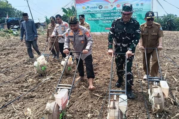Polres Serang Tanam Jagung Serentak di Lahan 5 Hektare Dukung Ketahanan Pangan Nasional