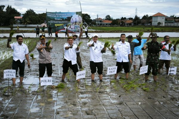 Penurunan Harga Pupuk Subsidi, Petani Kabupaten Serang Optimis Tingkatkan Produksi