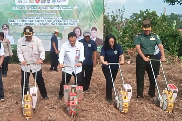 Kanwil Imigrasi Banten Gelar Tanam Jagung untuk Dukung Ketahanan Pangan dan Cegah TPPO